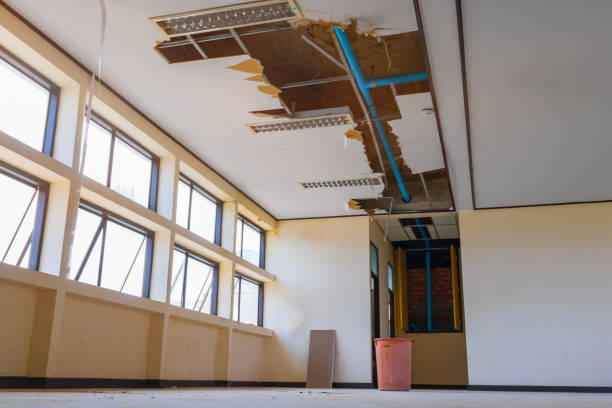Best Water damage contractors near me  in Walnut Creek, OH