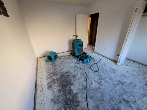 Best Mold removal after water damage  in Walnut Creek, OH