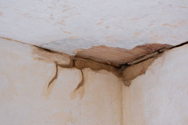Best Water damage restoration near me  in Walnut Creek, OH