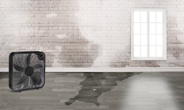 Best Water damage restoration near me  in Walnut Creek, OH