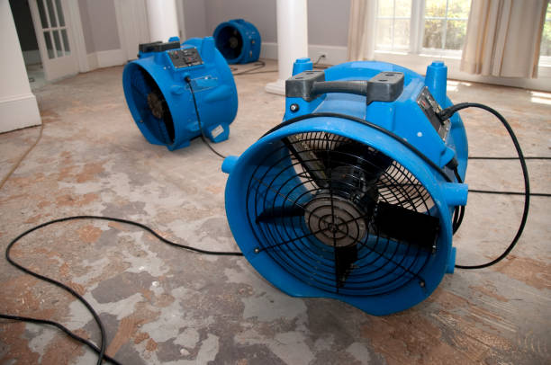 Best Flooded house restoration  in Walnut Creek, OH
