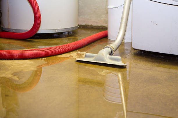 Best Water damage restoration insurance claims  in Walnut Creek, OH
