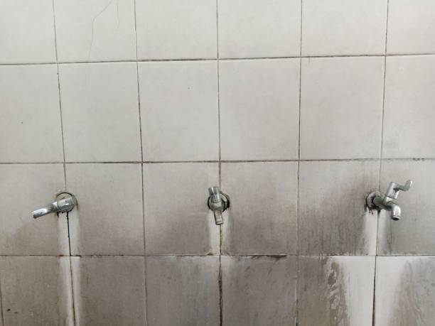 Best Water damage cleanup near me  in Walnut Creek, OH