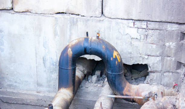 Best Carpet water damage restoration  in Walnut Creek, OH