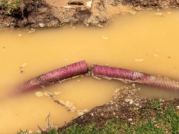 Professional Water damage restoration in Walnut Creek, OH